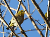 DSCN2804.JPG