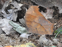 DSCN2811.JPG