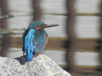 DSCN2832.JPG