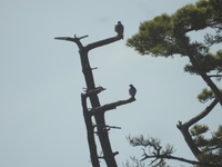 DSCN2882.JPG
