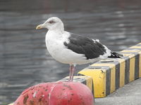 DSCN2914.JPG
