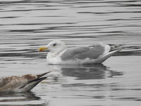 DSCN2917.JPG