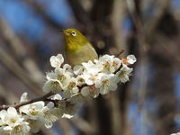 DSCN2940.JPG