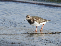 DSCN2943.JPG