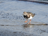 DSCN2944.JPG