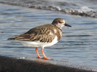 DSCN2968.JPG