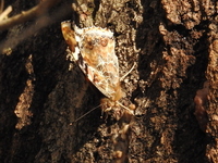 DSCN3002.JPG