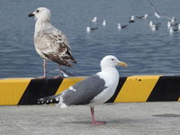 DSCN3010.JPG