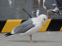 DSCN3026.JPG