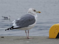 DSCN3041.JPG