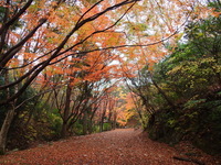 DSCN3048.JPG
