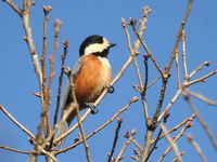 DSCN3066.JPG