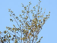 DSCN3078.JPG