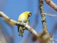 DSCN3081.JPG