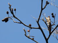 DSCN3089.JPG