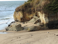 DSCN3100.JPG