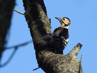 DSCN3114.JPG