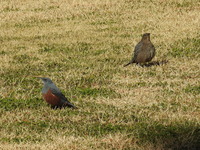 DSCN3125.JPG