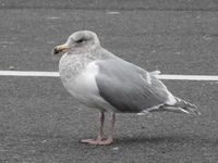 DSCN3125.JPG