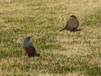DSCN3129.JPG