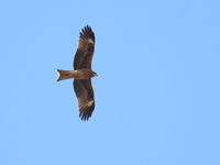 DSCN3158.JPG