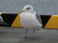 DSCN3164.JPG