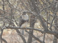 DSCN3181.JPG