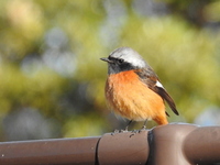 DSCN3186.JPG