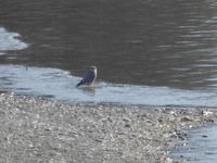DSCN3202.JPG