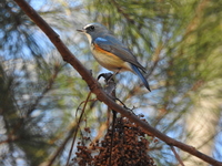 DSCN3226.JPG