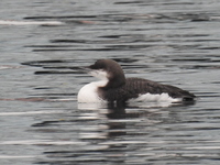 DSCN3242.JPG