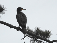 DSCN3272.JPG