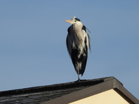 DSCN3322.JPG