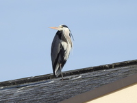 DSCN3337.JPG