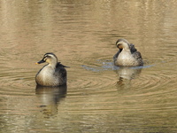 DSCN3519.JPG