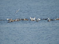 DSCN3521.JPG