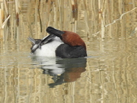 DSCN3555.JPG