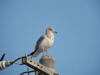DSCN3558.jpg