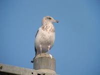 DSCN3565.jpg
