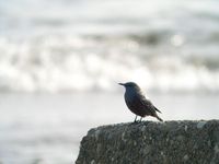 DSCN3568.jpg