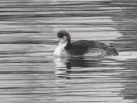 DSCN3584.JPG