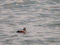 DSCN3591.jpg