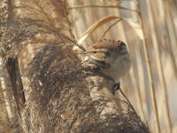 DSCN3605.JPG