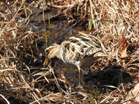 DSCN3633.JPG