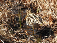 DSCN3634.JPG