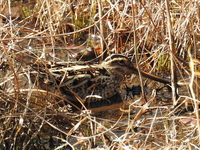 DSCN3645.JPG