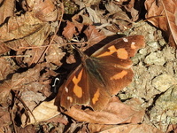DSCN3652.JPG