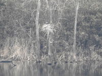 DSCN3690.JPG