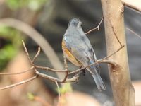 DSCN3695.JPG