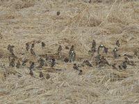 DSCN3790.jpg